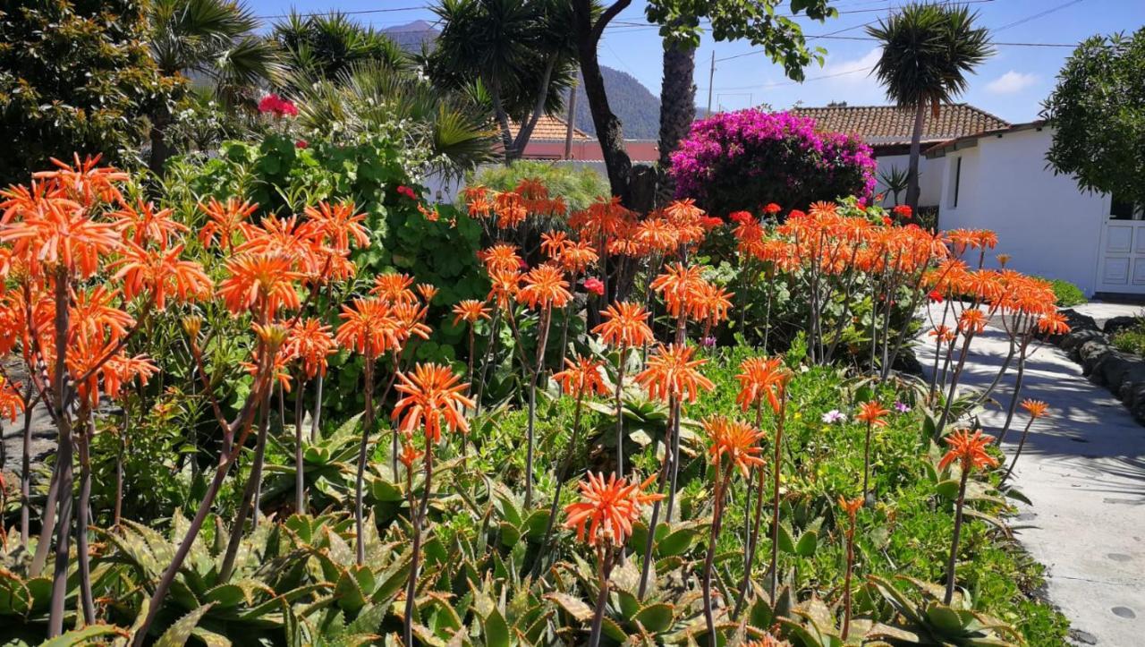 Finca Primavera El Paso Dış mekan fotoğraf