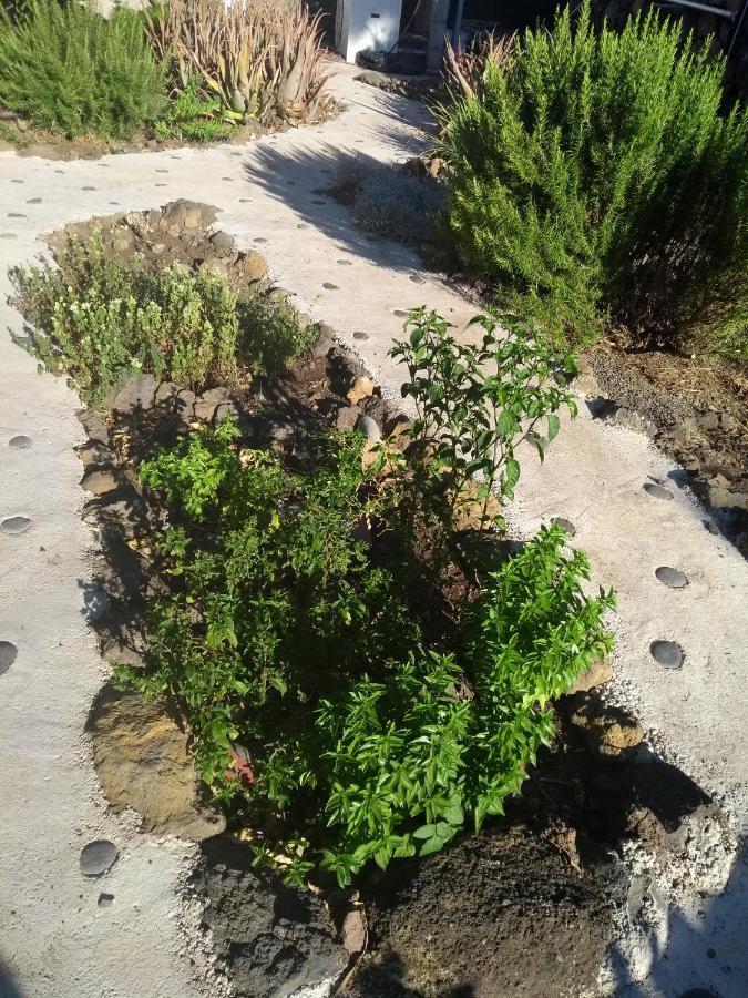 Finca Primavera El Paso Dış mekan fotoğraf