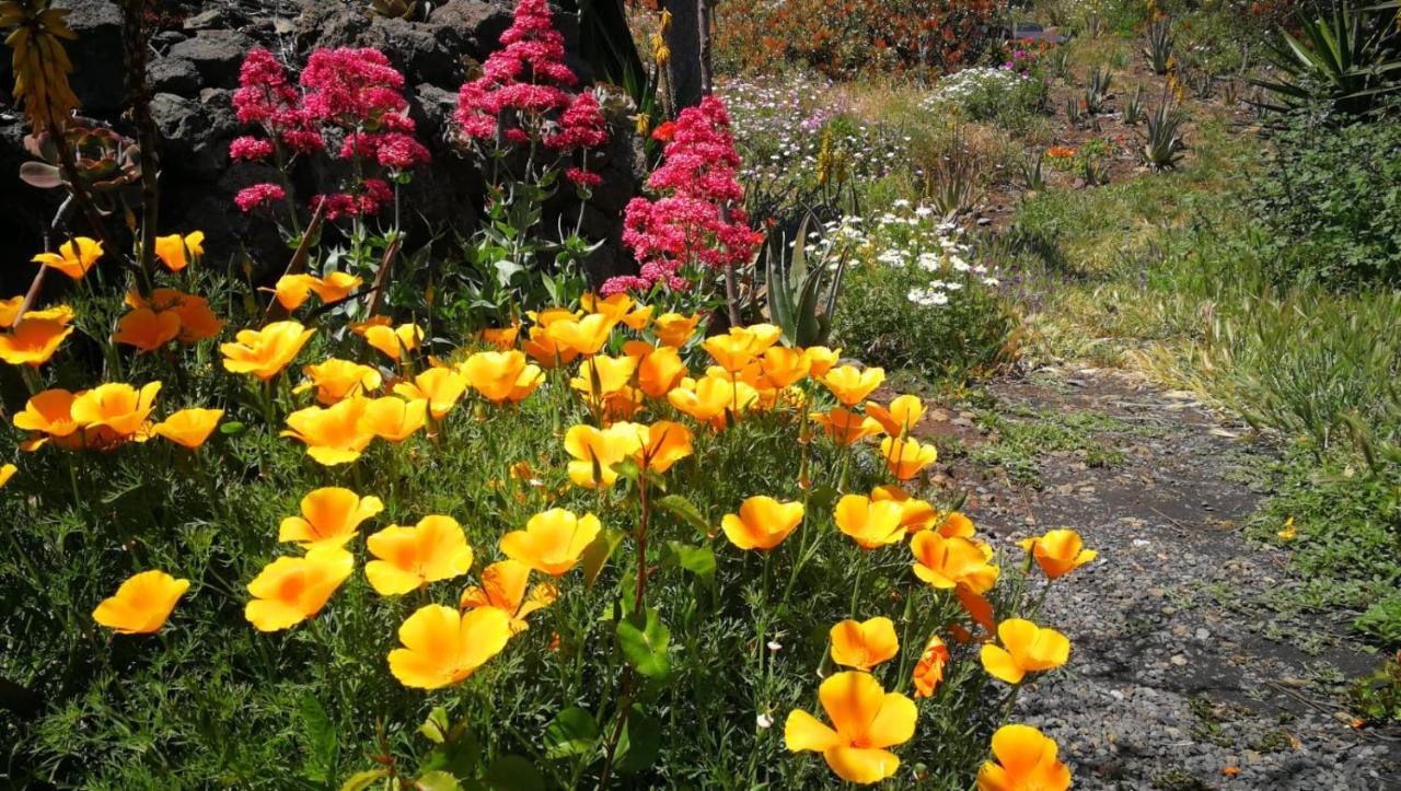 Finca Primavera El Paso Dış mekan fotoğraf